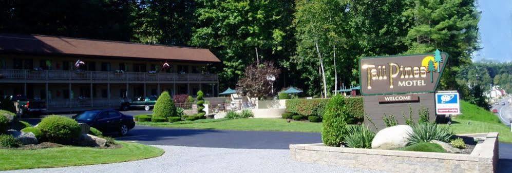 Tall Pines Motel Lake George Dış mekan fotoğraf
